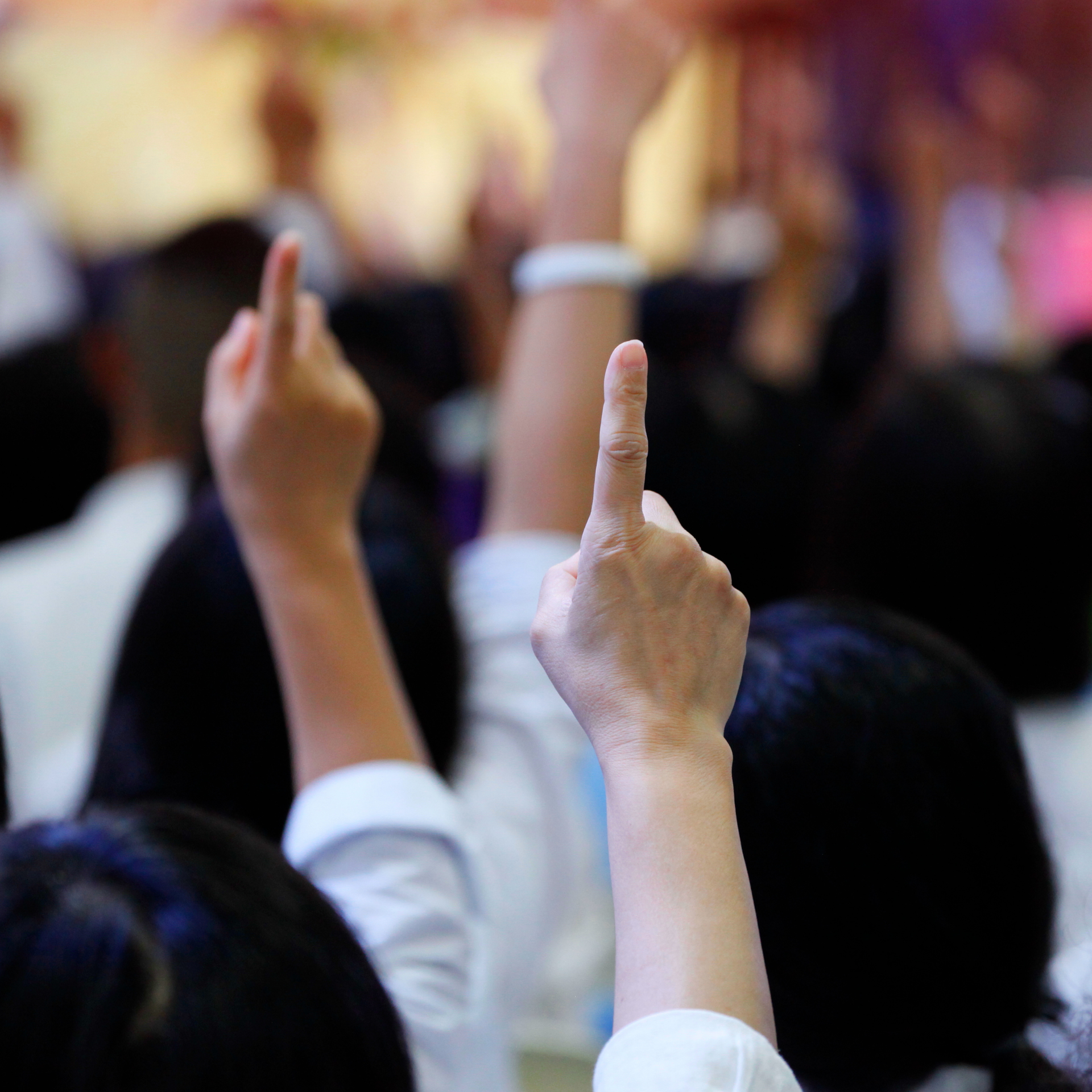 People raising hands to bid at a property auction