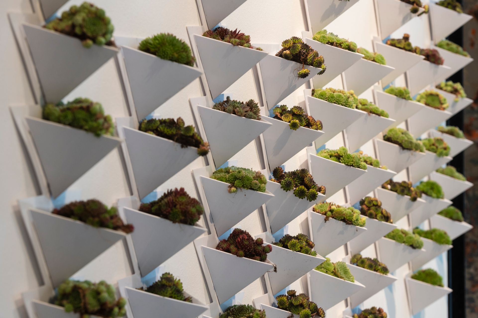 hittestress kuntsloc ontwerp social design klimaatadaptatie