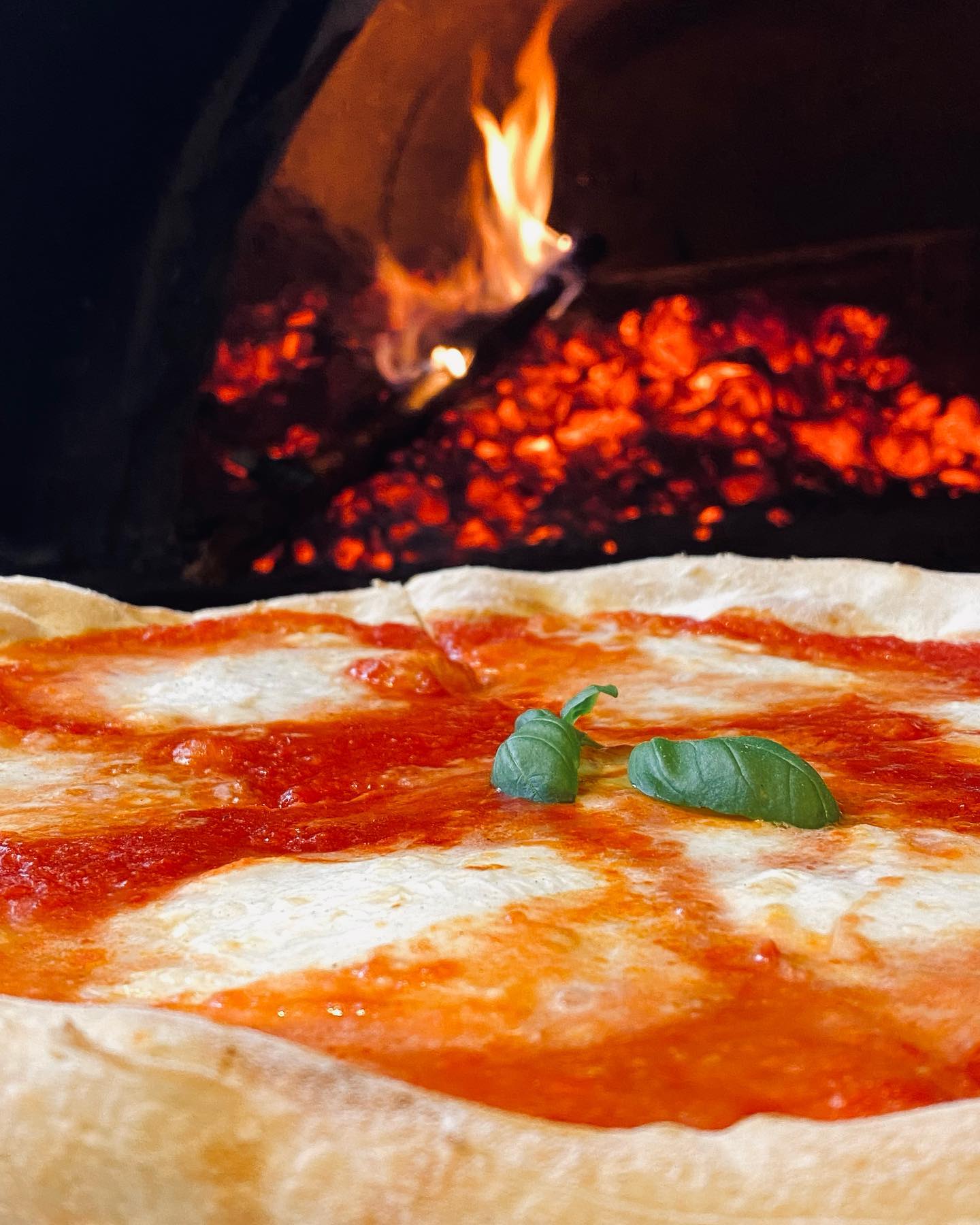 pizza margherita