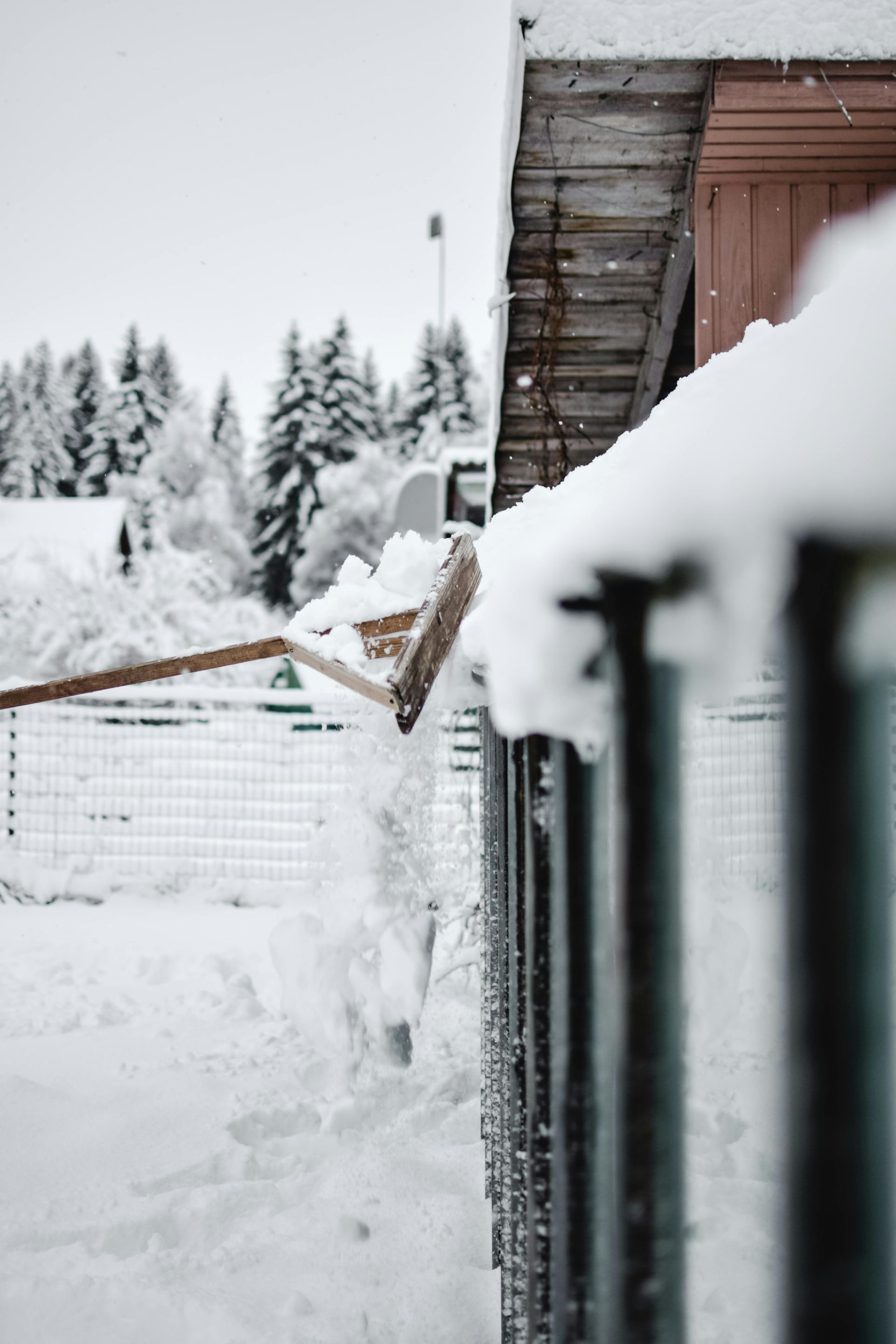 Façade d'un bâtiment enneigé, avec une épaisse couche de neige, une clôture et des conifères en arrière-plan.