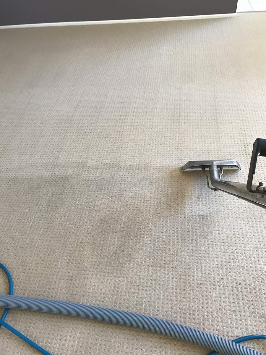 A Vacuum Cleaner Is Being Used To Clean A Carpet — Mr Steam Clean Tweed Coast In Banora Point, NSW