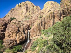 New Mexico