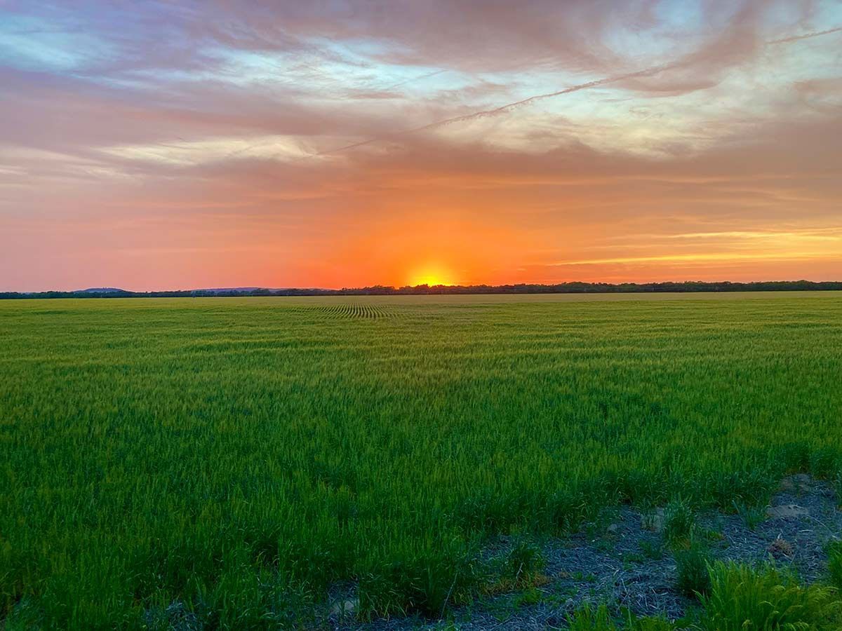 Sunrise over the fields in Ottawa County, Kansas