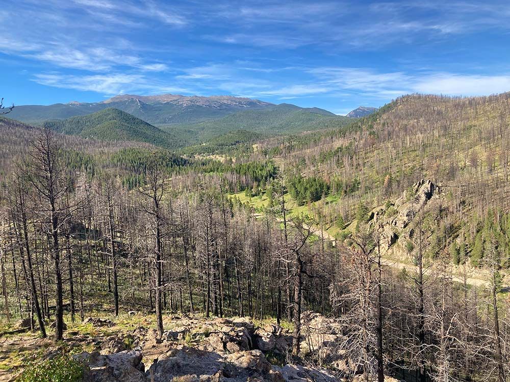 Charred forested hills and a green valley under a blue sky with distant mountains, Pingree Park, Colorado
