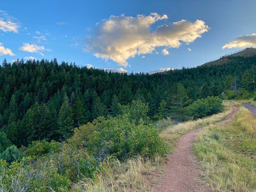 Dirt trail winding through green forested hills under a blue sky with fluffy clouds, Blodgett Peak Trail, Colorado Springs, Colorado 