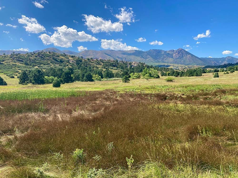 Grassy field with wildflowers, hills and mountains under a bright blue sky with scattered clouds, Ute Valley park, Colorado Springs, Colorado