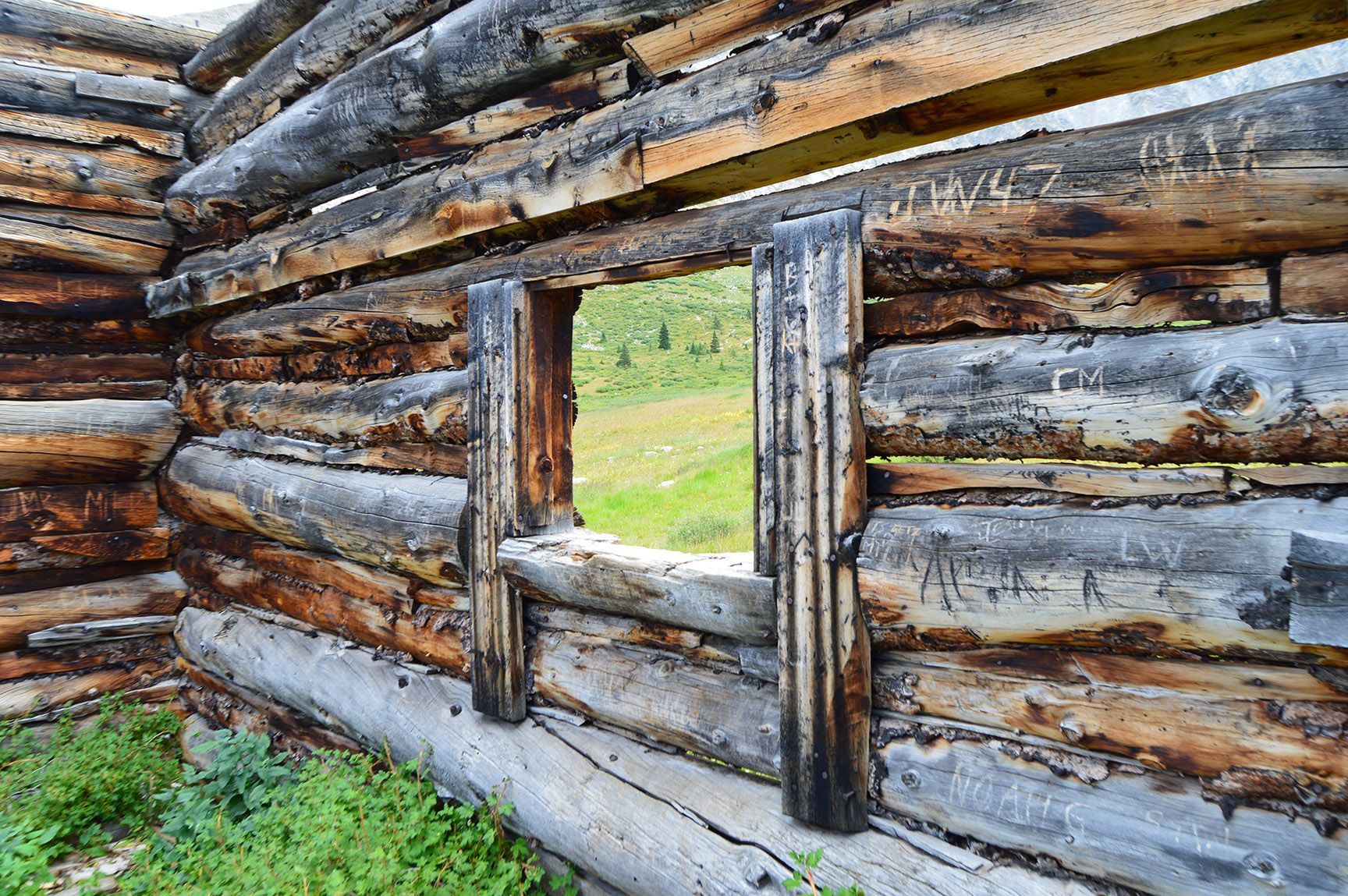 Interior of a weathered log cabin wall with a small window opening to green grass outside, The ruins of an old cabin, Mayflower Gulch, Colorado