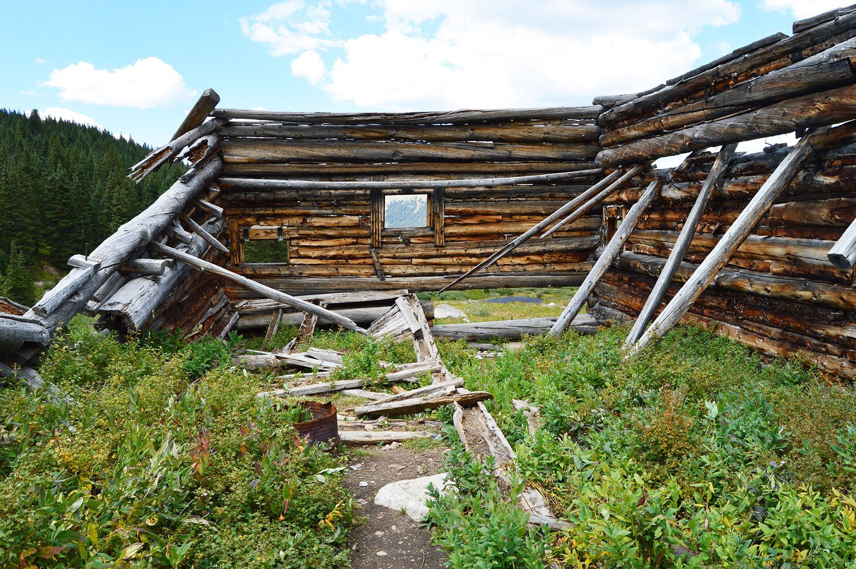 Deteriorating log cabin wall with leaning supports amid green vegetation under a blue sky, The ruins of an old cabin, Mayflower Gulch, Colorado