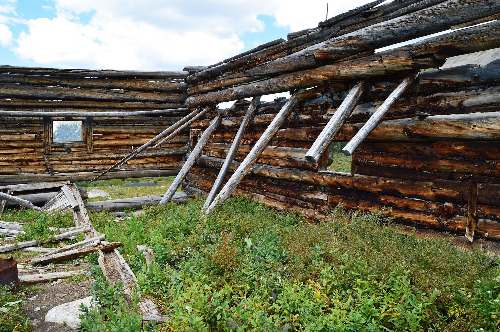 Collapsed wooden log structure with leaning beams and overgrown grass under a cloudy sky, The ruins of an old cabin, Mayflower Gulch, Colorado