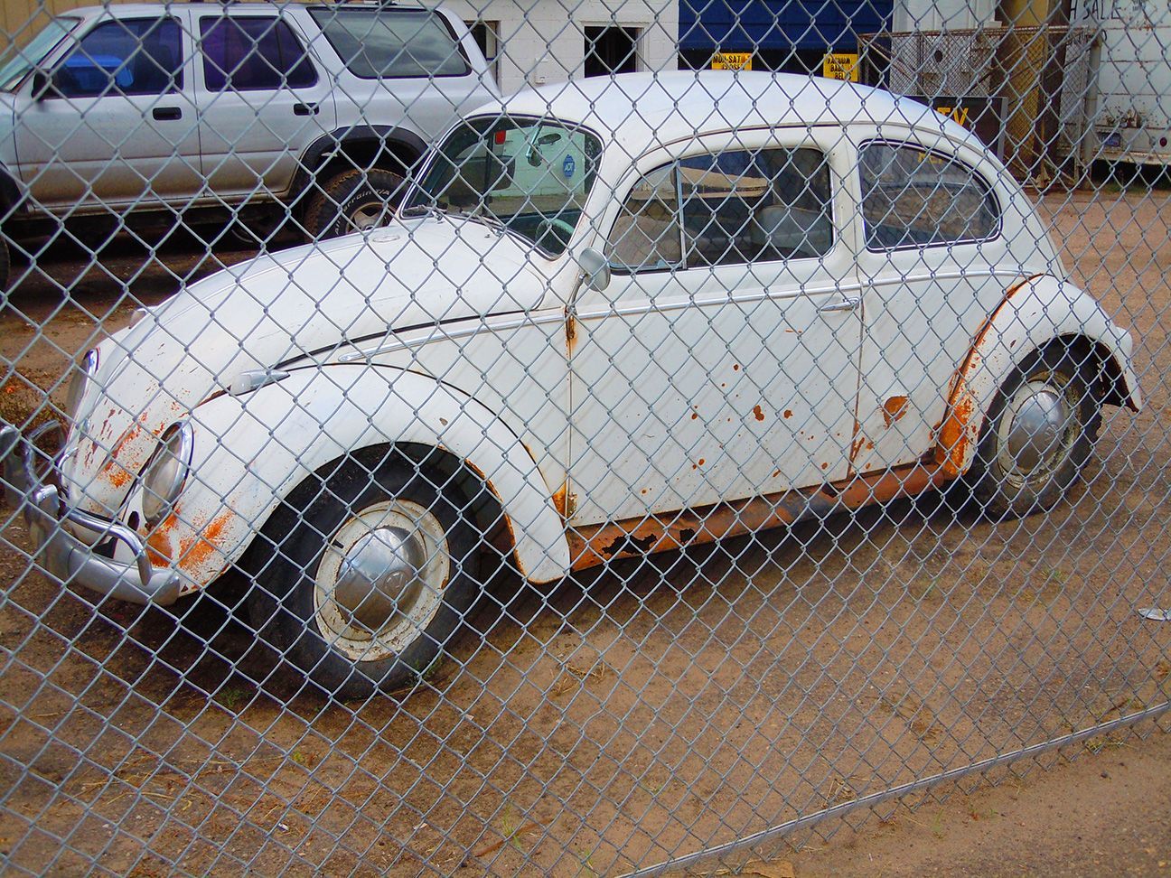 White vintage Volkswagen Beetle parked behind a chain-link fence in a lot, Denver, Colorado 