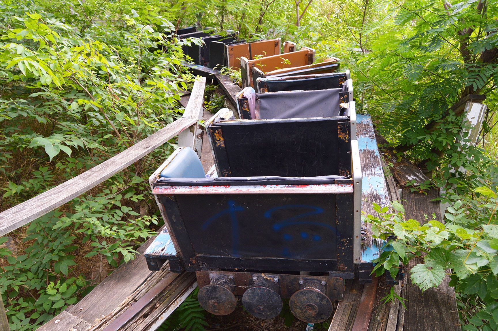 Abandoned mining cart on a narrow track in dense green forest