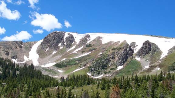 Snow-dusted mountain ridge above a pine forest under a bright blue sky
