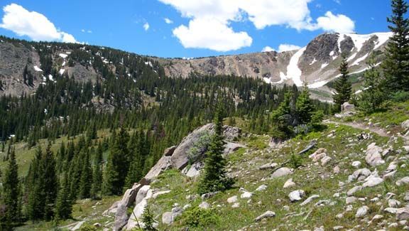 Mountain landscape with pine forest, rocky slopes, and snow patches under a blue sky