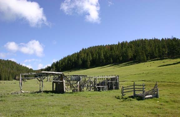 Wooden animal pens in a grassy field beside a forest under a blue sky with clouds