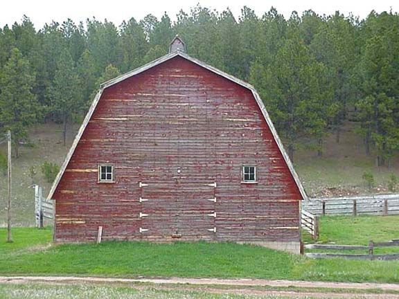 Red barn with a gambrel roof on a grassy field, backed by a pine forest.