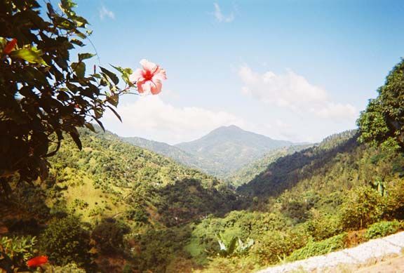 Sunlit green mountain valley with a distant peak and red flower in the foreground