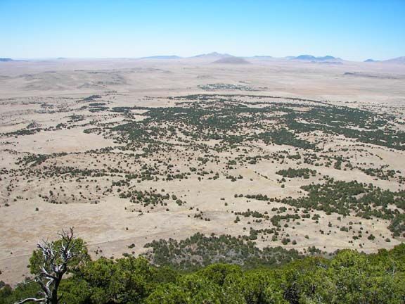 Aerial view of a vast desert plain with scattered green shrubs and distant mountains under a pale sky