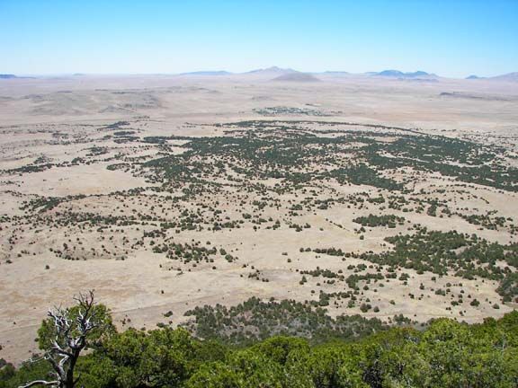 Wide desert landscape with sparse green shrubs and distant low mountains under a clear sky