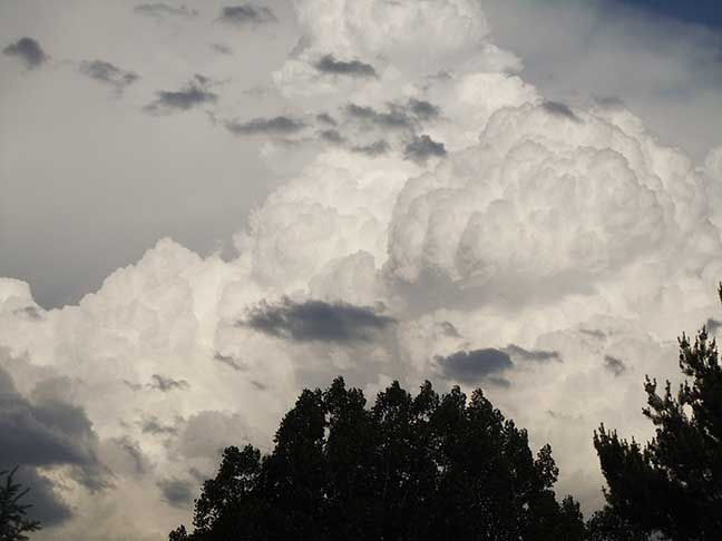 Cumulus clouds