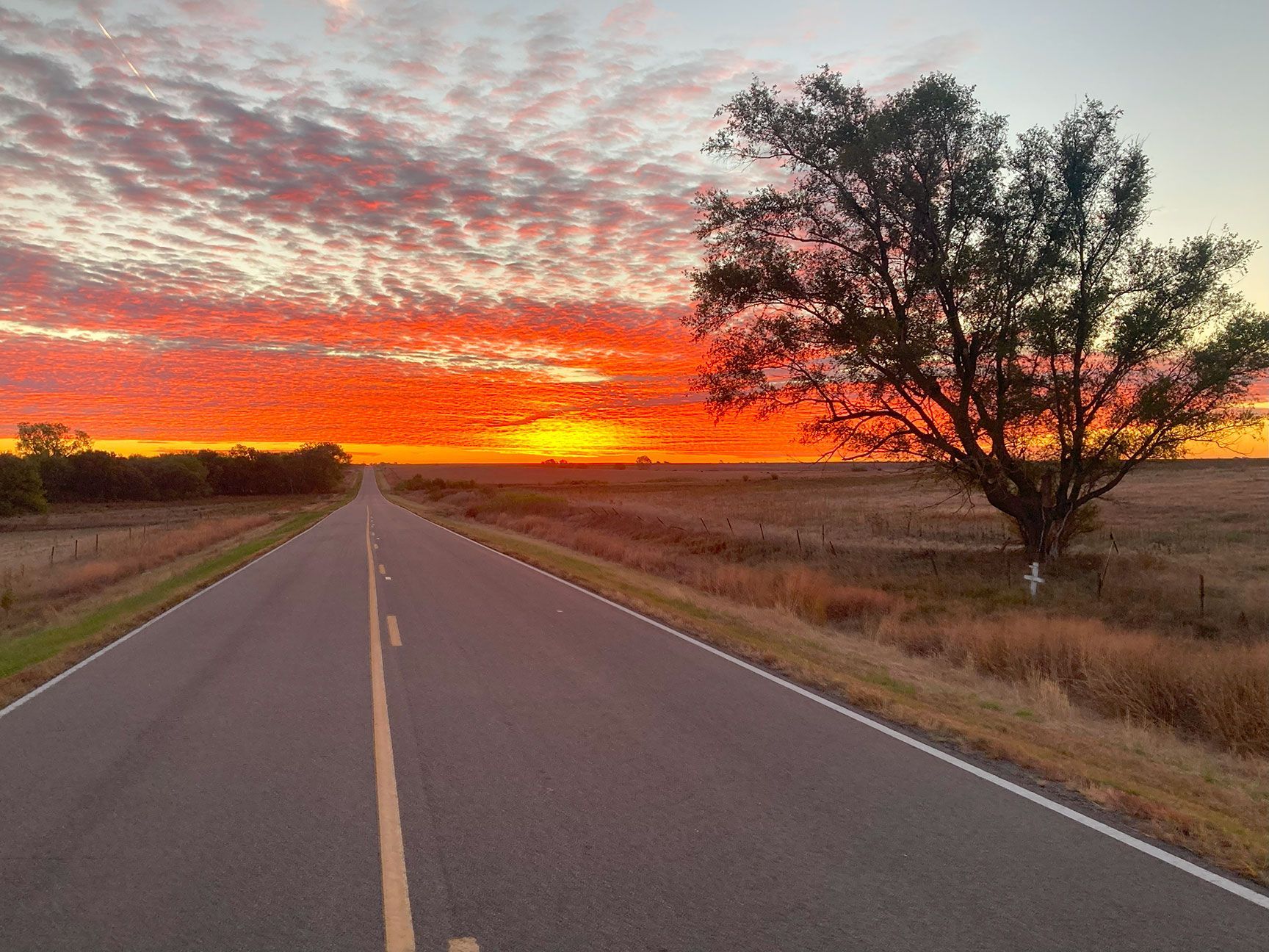 Empty road at sunset with vivid orange sky and a lone tree on the right.