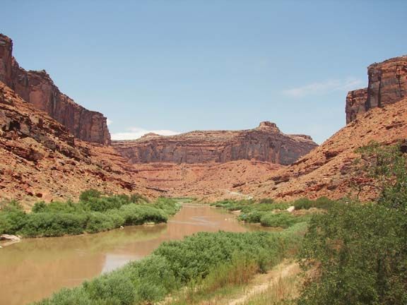 Red canyon landscape with a muddy river and green vegetation under a clear blue sky