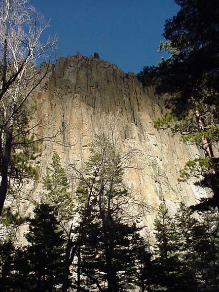 Sunlit rocky cliff with pine trees in the foreground under a clear blue sky
