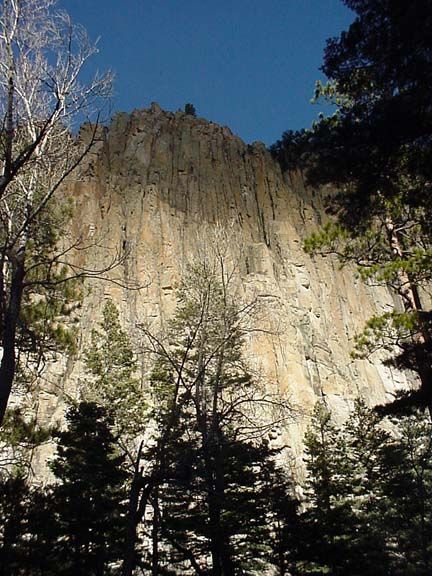 Steep sunlit cliff with evergreen trees in the foreground under a clear blue sky
