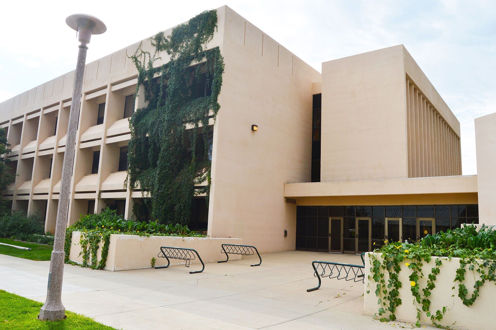 Modern beige campus building with vine-covered walls, benches, and a walkway entrance