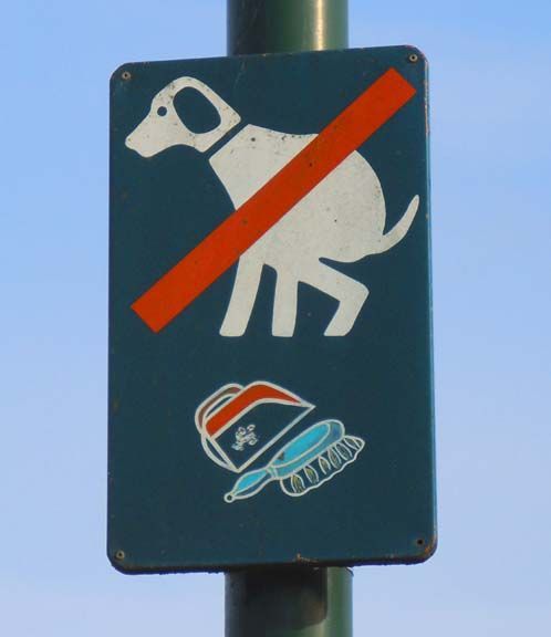No dogs allowed sign with a red slash over a white dog icon on a blue background