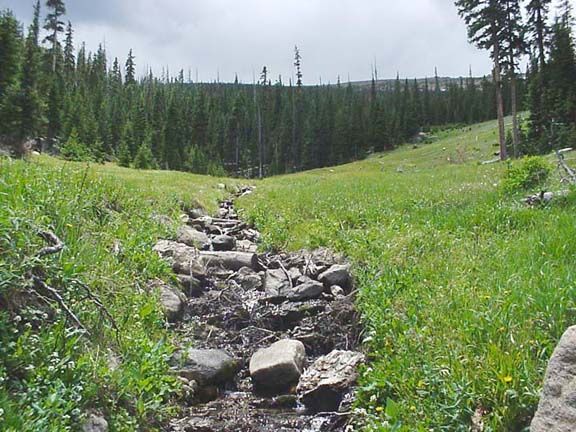 Rocky streambed winding through a green forest valley under a bright sky