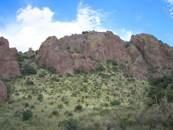 Rocky hillside with reddish cliffs, scattered shrubs, and a blue sky with clouds.