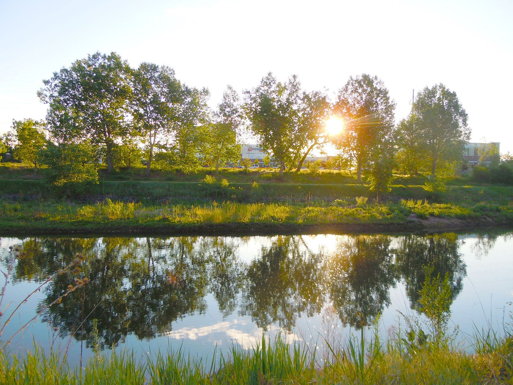 Sunlit trees reflected in a calm river at sunset, South Platte River, Littleton, Colorado
