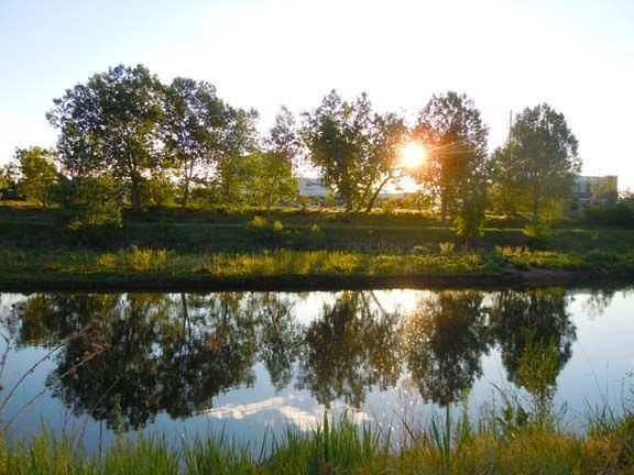 Sunset over a calm river reflecting trees and a bright sun on the far bank