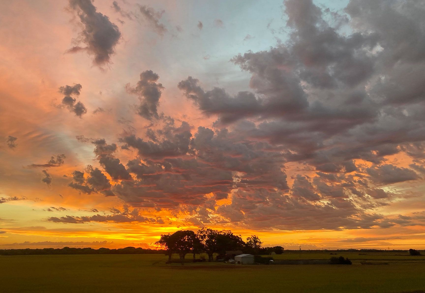 Sunset over a field with silhouetted trees and dramatic orange and gray clouds