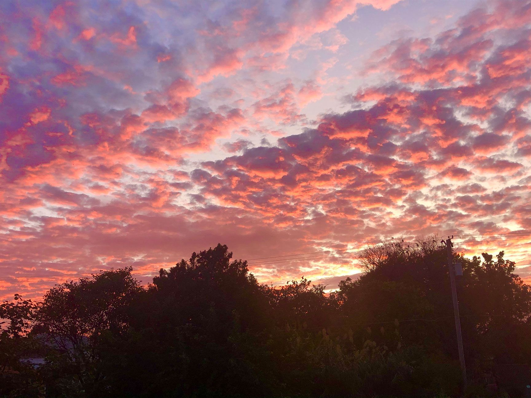 Pink and orange sunset clouds over dark treetops