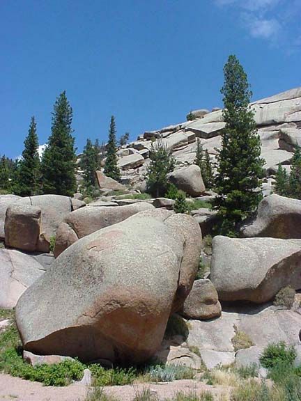 Large granite boulders and tall evergreen trees on a sunny rocky hillside under a blue sky