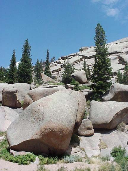 Granite boulders and tall pine trees on a rocky hillside under a clear blue sky