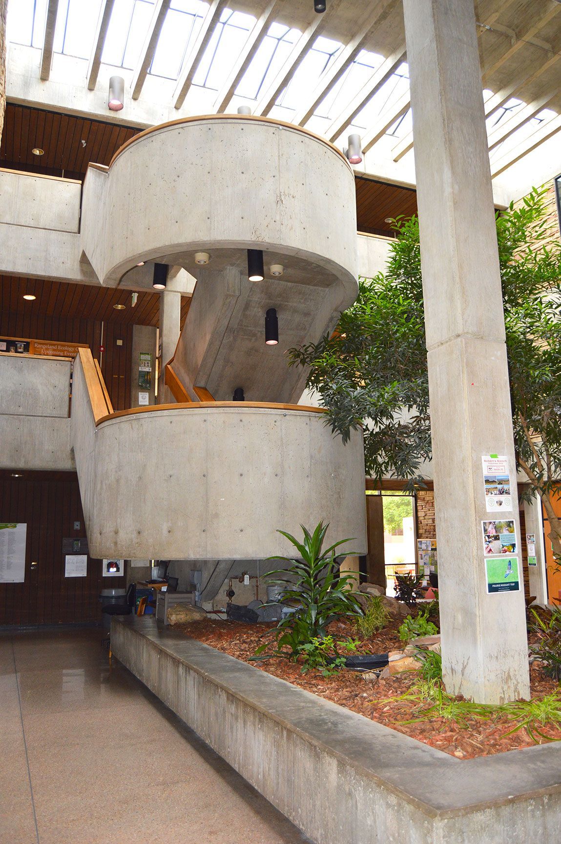 Concrete spiral staircase in a bright atrium with plants and a skylit ceiling