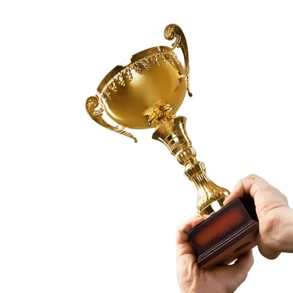 An image of a trophy representing successful case outcomes.