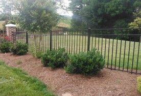 A fenced yard with bushes and trees A fenced yard with bushes and trees
