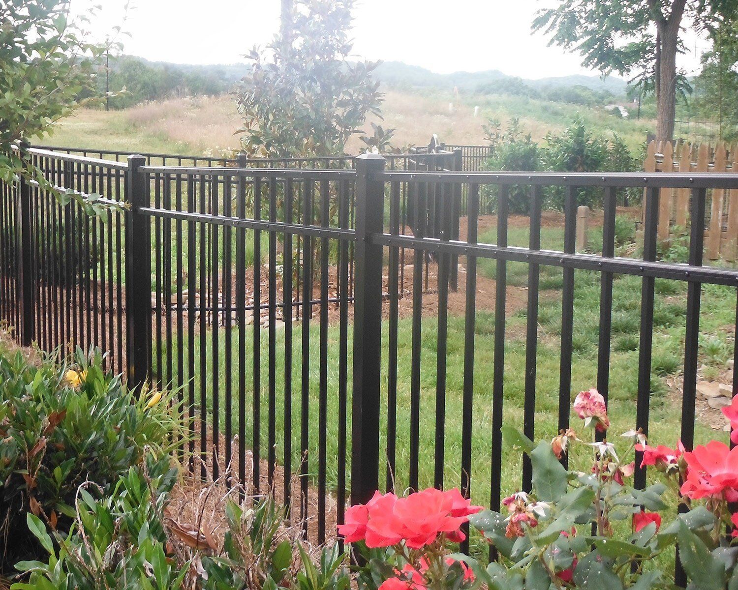 A black metal fence surrounds a lush green field