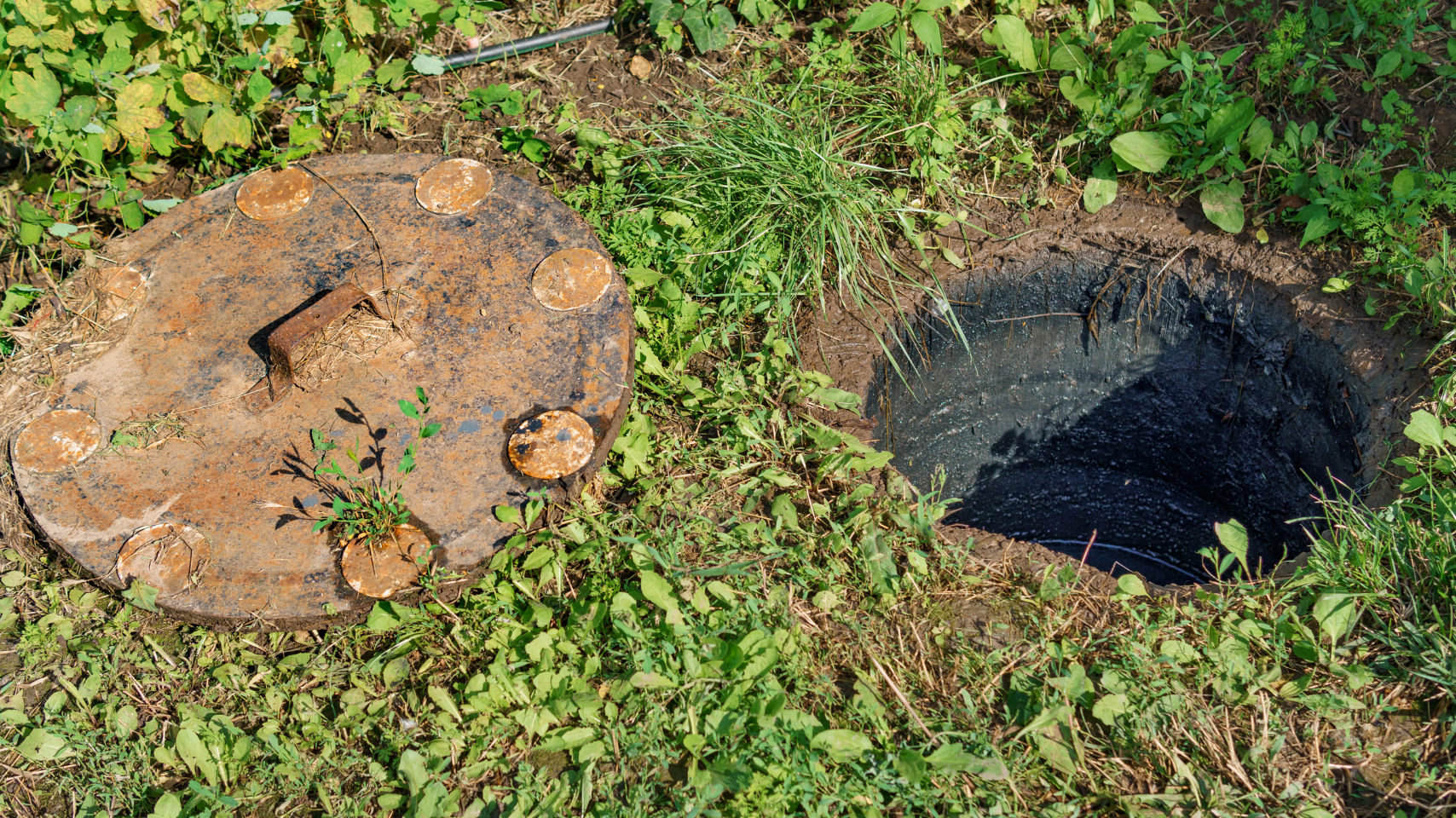 A manhole cover and a hole in the ground in the grass.