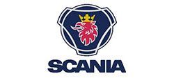 The logo for scania is a lion with a crown on its head.
