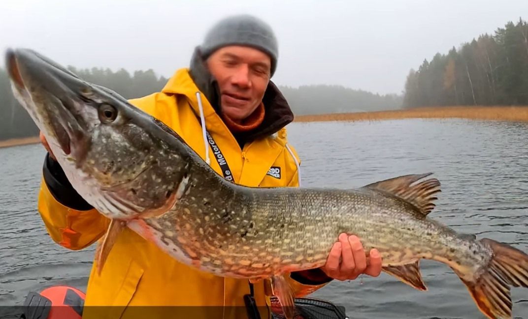 Pike in Finland October fishing