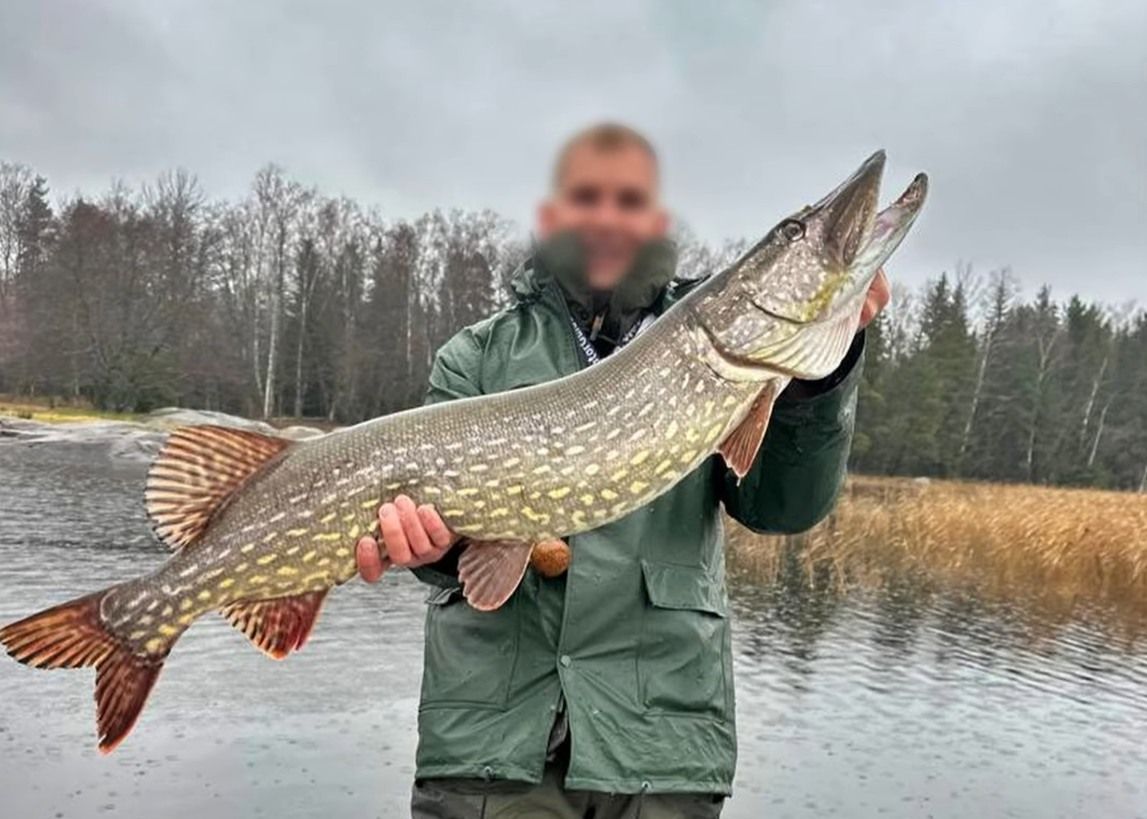 Record pike caugh Finland