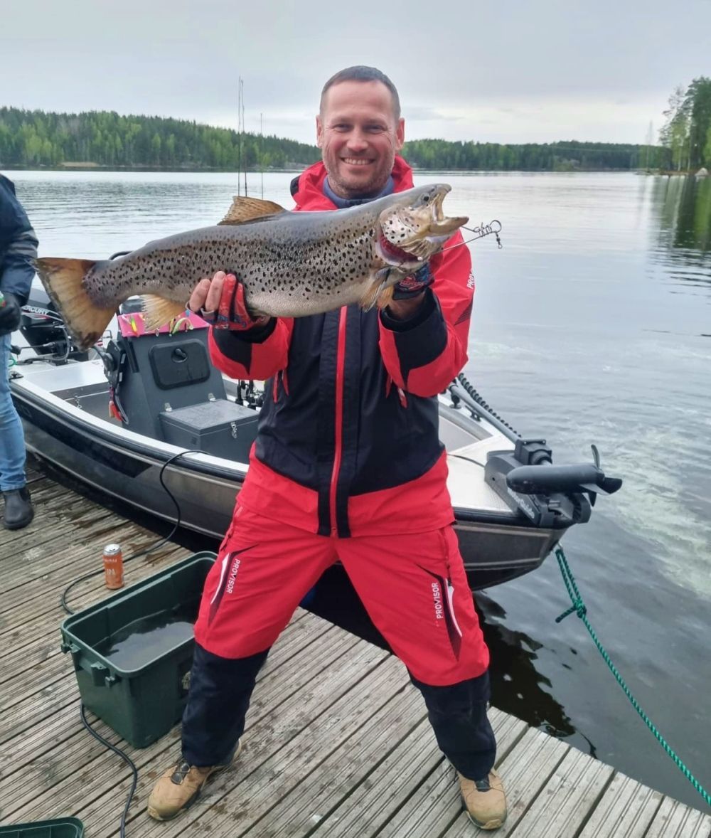 trout