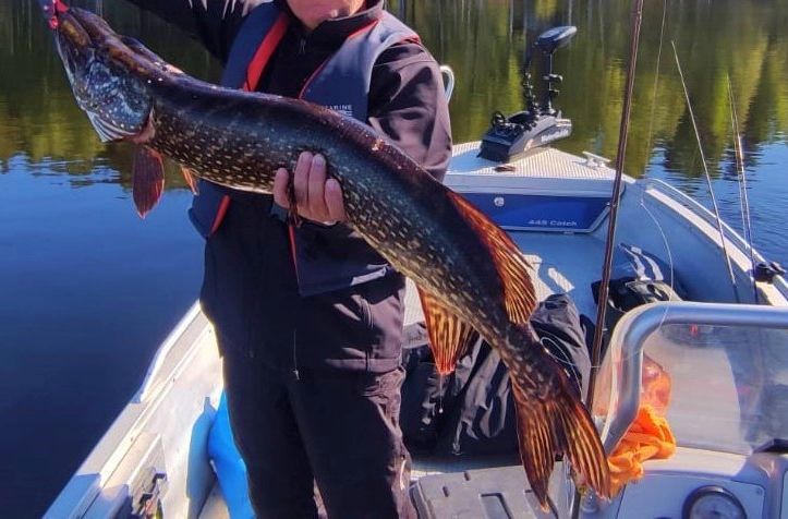 trophy pike