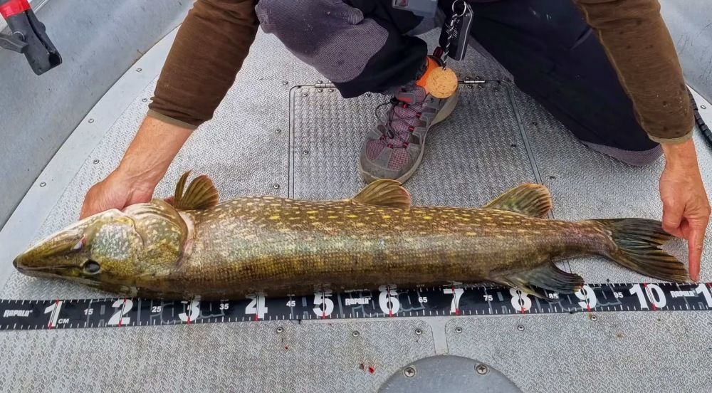 Fishing guide service
