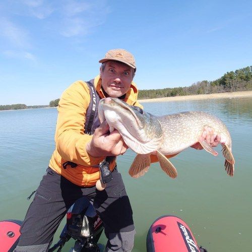 Pike from Archipelago