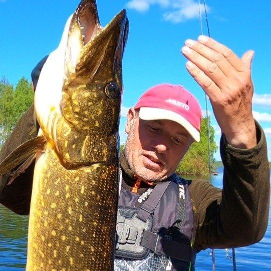 Pike from Kemijärvi, Lapland